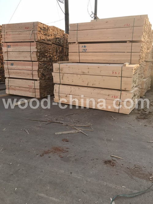 專業承接各類建筑木方采購，涵蓋鐵杉、云杉、輻射松等多種規格